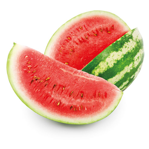 SANDIA 500  1 BOLSA